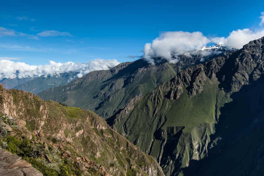 Colca Canyon Day Trip: From Arequipa to Puno - Key points worth knowing before you go