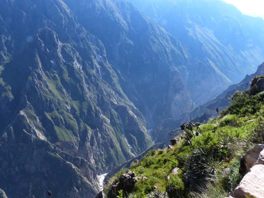 Colca Canyon Day Trip: From Arequipa to Puno - Cruz del Cóndor viewpoint: canyon depth and condor country