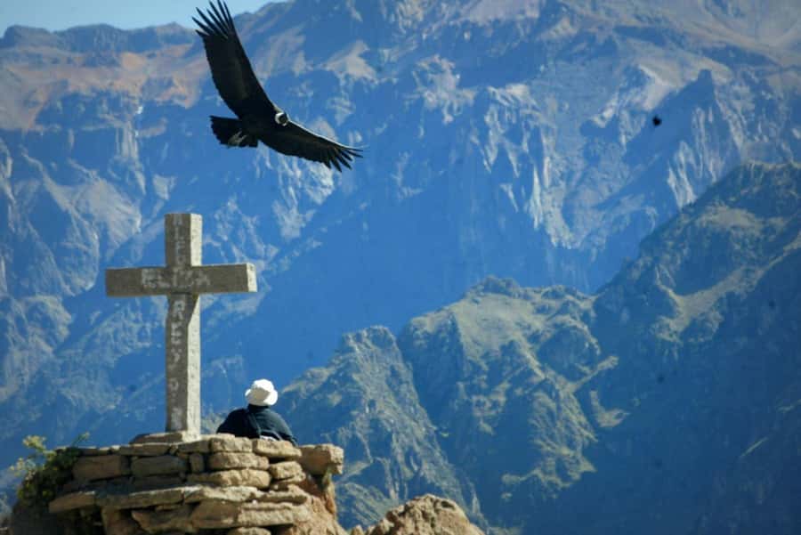 Colca Canyon Day Trip: From Arequipa to Puno - Colonial towns and the Colca Valley stops you will remember