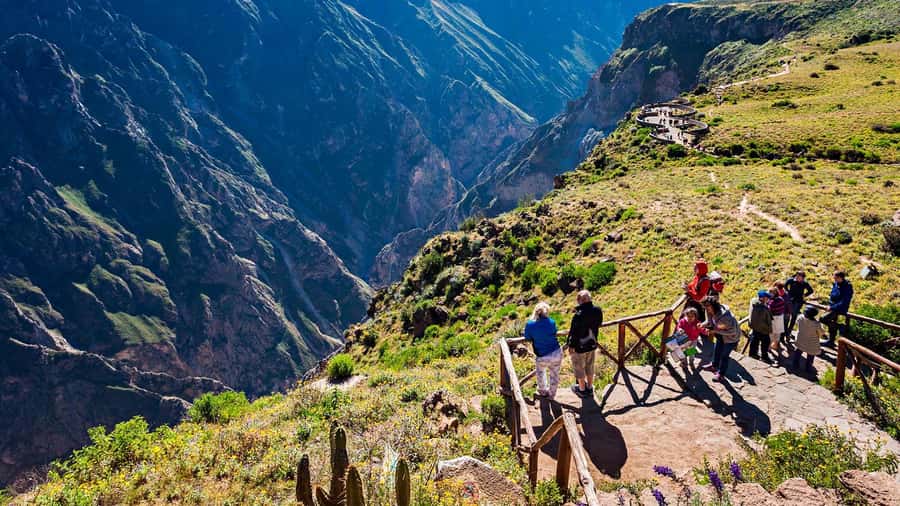 Colca Canyon Day Trip: From Arequipa to Puno - The ultra-early pickup, and why it actually helps at Cruz del Cóndor