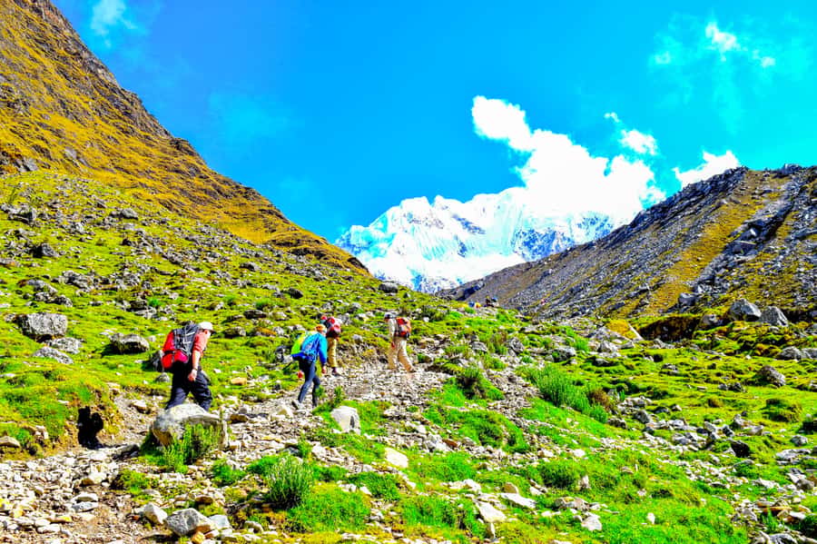 Cusco: 5-Day Salkantay Ultimate Trek to Machu Picchu - Your Base in Cusco, Then Straight Into High Andes Reality