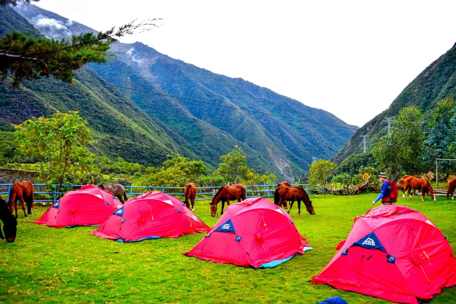 Cusco: 5-Day Salkantay Ultimate Trek to Machu Picchu - Day 2: The Salkantay Pass Push and the Drop Into High Jungle