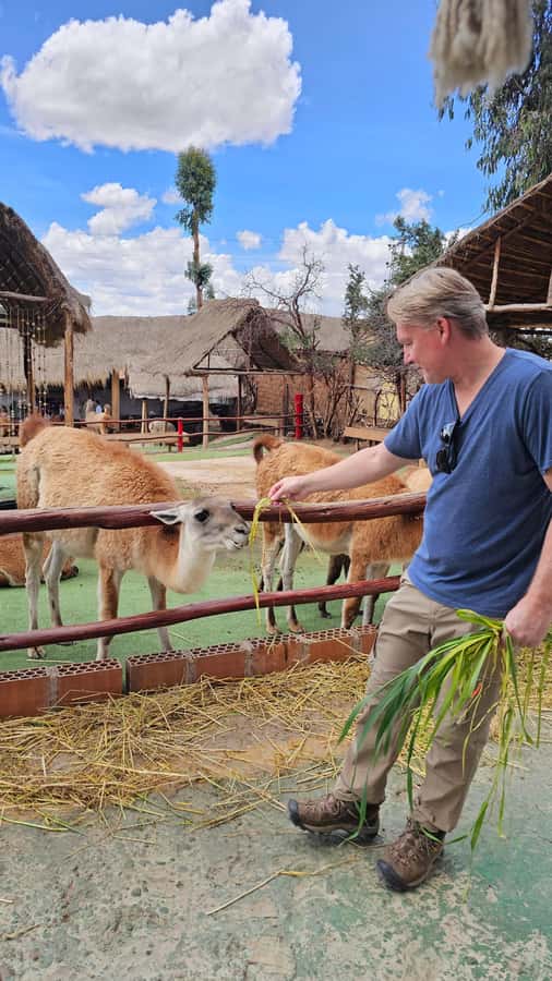 Cusco: Alpaca and Llama Farm Tour w/ Transfer & Weaving Demo - Key highlights you should care about