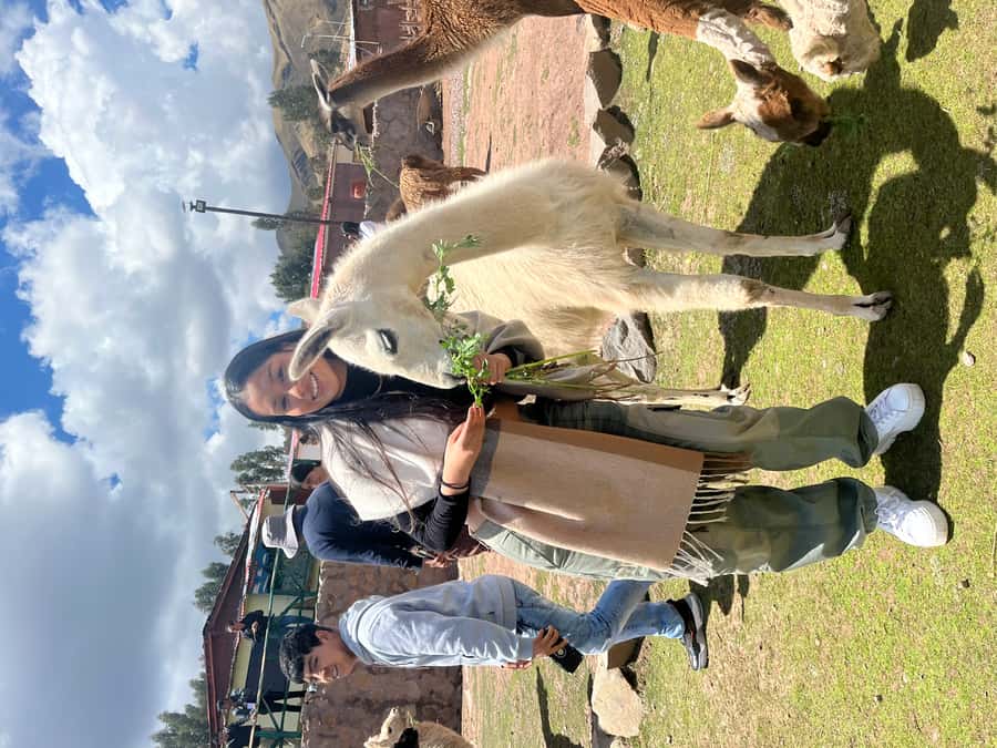 Cusco: Archeological Sites Tour and Forest Photo Experience - Coricancha: the Temple of the Sun, plus the feeling of scale