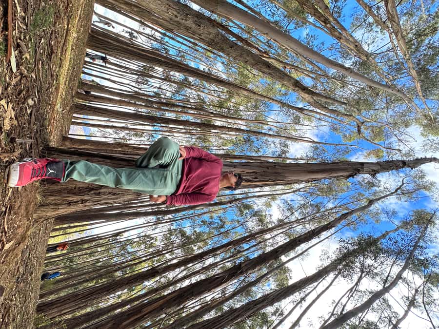 Cusco: Archeological Sites Tour and Forest Photo Experience - Logistics that matter in real life