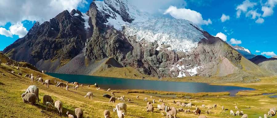 Cusco: Ausangate Tour 7 Lagoons full day - Key highlights to look for