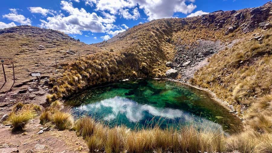 Cusco: Ausangate Tour 7 Lagoons full day - Wildlife spotting you can actually enjoy