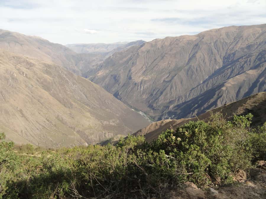 Cusco: Chonta Canyon and Condor Flight Tour with Lunch - Cusco to Chonta Canyon, in one focused day