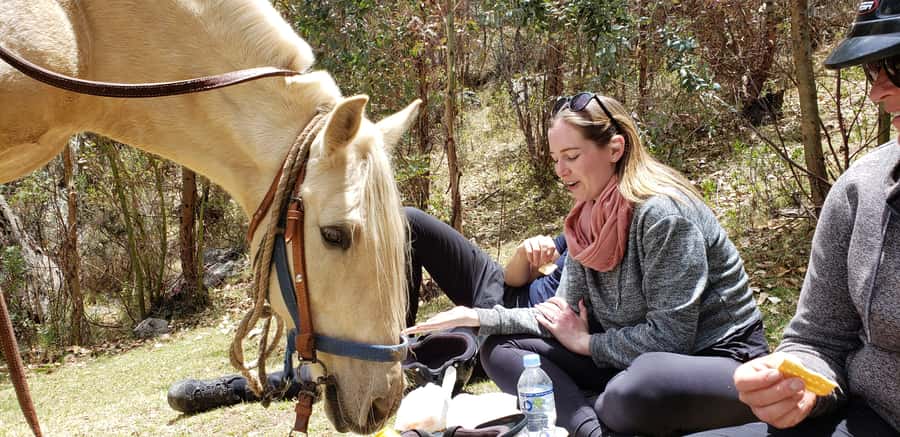 Cusco: Half-Day Horseback Riding at Devil's Balcony - A half-day ride that actually feels like an escape from Cusco