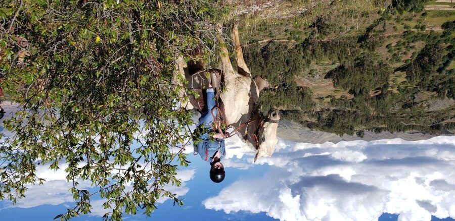 Cusco: Half-Day Horseback Riding at Devil's Balcony - What you get for the price: why $85 can make sense