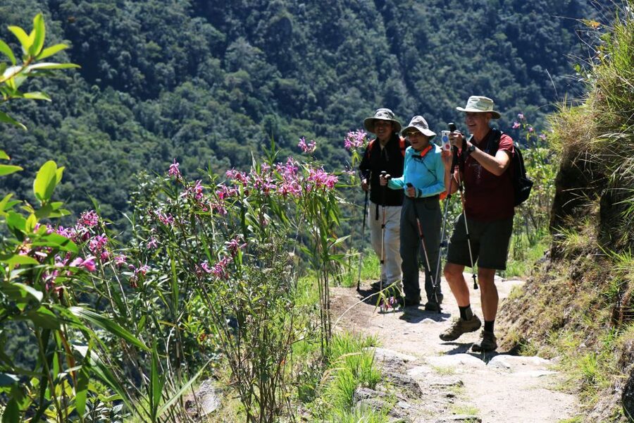 Cusco: Machu Picchu 2-Day Inca Trail with Panoramic Train - Weather reality: rain on the trail, fog on the stones