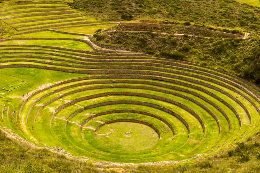 Cusco: Maras and Moray Tour ending in Ollantaytambo - Maras Salt Village and the 3,000+ evaporation pools you can actually count