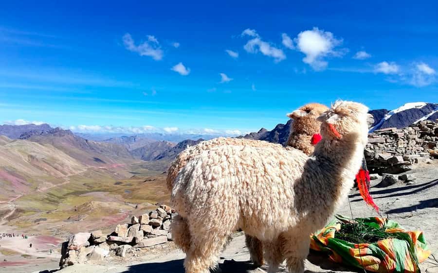 Cusco: Mountain of 7 colors Vinicunca and the Red Valley (optional) - Budget and value: what you pay for, and what you might add