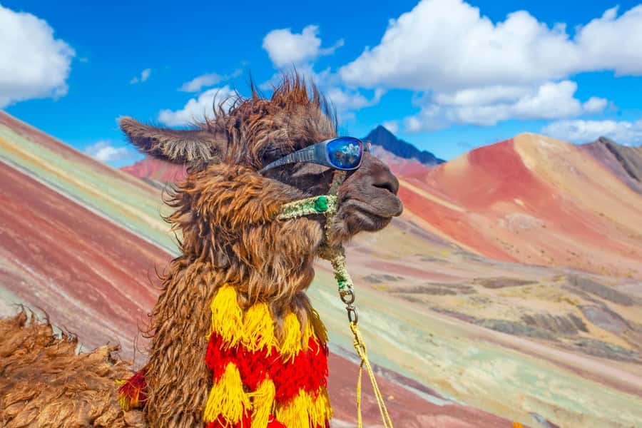 Cusco : Rainbow Mountain and Red Valley Tour - Phulawasipata start: horses, layers, and a 2-hour hike