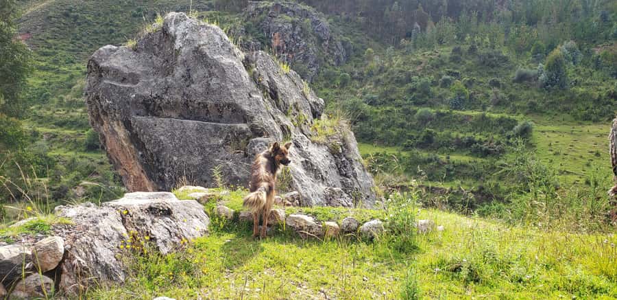 Cusco: Sacsayhuaman Guided Tour and 1-Hour Horseback Ride - Vieja Estancia ranch and the 1-hour ride: how safety and views meet