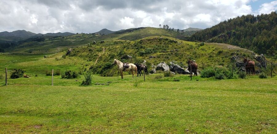 Cusco: Sacsayhuaman Guided Tour and 1-Hour Horseback Ride - Tambomachay and Puka Pukara: water worship and a fortress edge