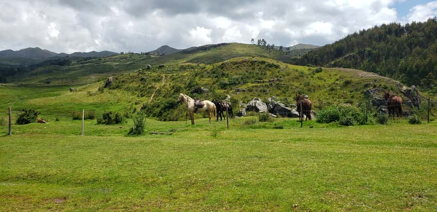 Cusco: Sacsayhuaman Guided Tour and 1-Hour Horseback Ride - Price and logistics: what $90 includes and what can surprise you