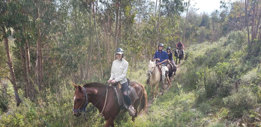 Cusco: Sacsayhuaman Guided Tour and 1-Hour Horseback Ride - Entering Sacsayhuaman: Cusco’s old heart and Inca engineering you can read
