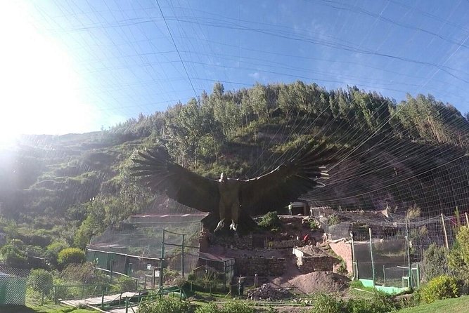 Cusco Santuario de Animales Rescatados en Cusco - Cochahuasi Animal Sanctuary: what you are paying for
