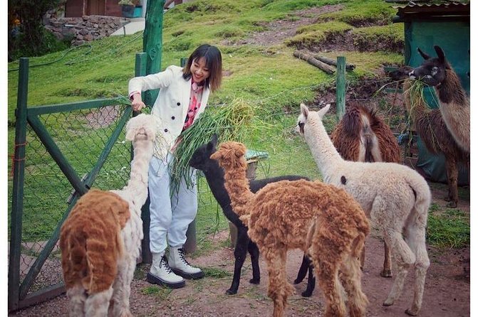 Cusco Santuario de Animales Rescatados en Cusco - The sanctuary mission you can see in the details