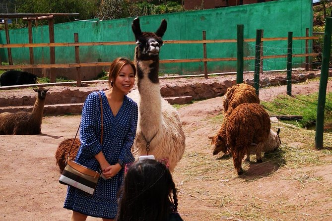 Cusco Santuario de Animales Rescatados en Cusco - Timing tips: morning visit style and a flexible finish