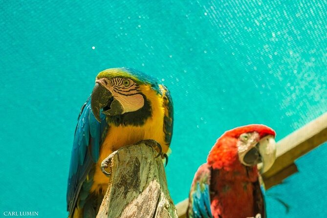 Cusco Santuario de Animales Rescatados en Cusco - Who this is for, and who should think twice