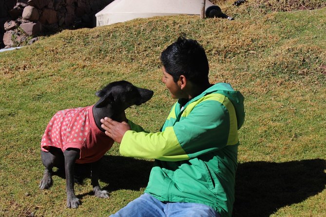 Cusco Santuario de Animales Rescatados en Cusco - Is the Cochahuasi sanctuary tour worth $34?