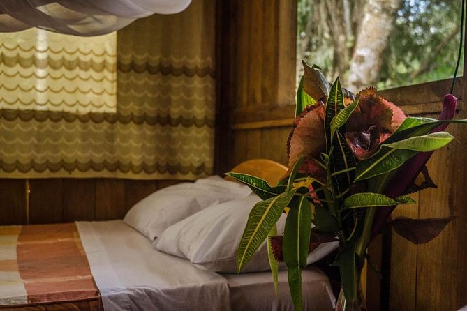 Eco Jungle 3 Days - 2 Nights - Day 1 in Tambopata: ancient trees, Monkey Island, and night alligators