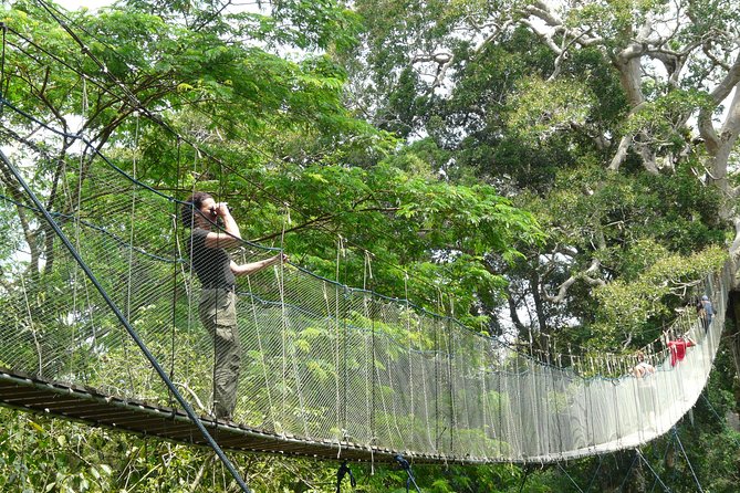 Eco Jungle 3 Days - 2 Nights - Price and value at $240: what you get, and what to double-check