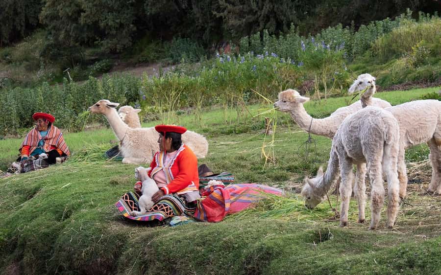ECONOMIC PRIVATE TOUR IN THE CITY OF CUSCO - HALF DAY - Pacing tips for the full 6 hours