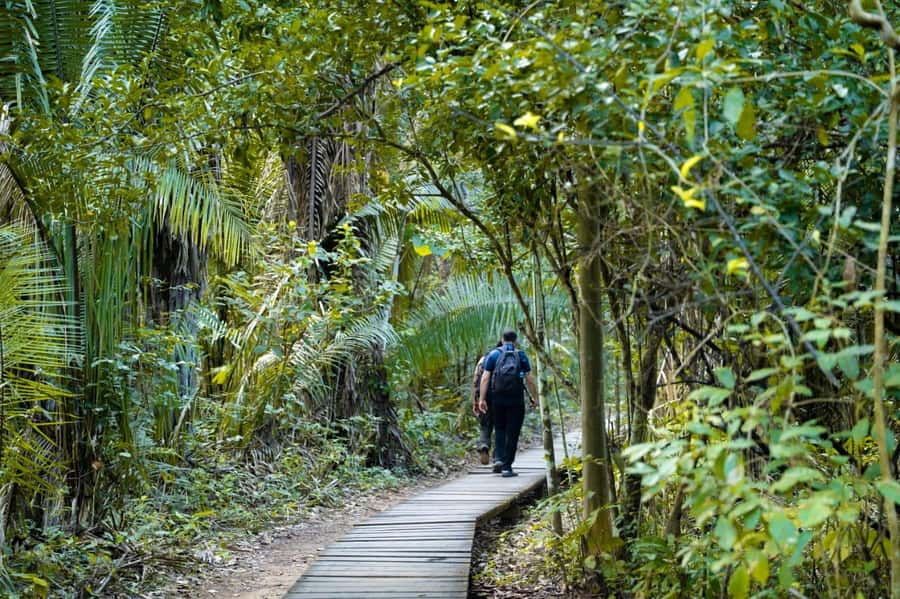 Excursion 2 days/1 nights in the jungle: Tambopata - Bungalows, Intro Walk, and Why the First Night Matters