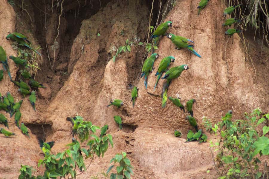 Excursion 3 days/2 nights in the jungle - Who should book, and who should reconsider?
