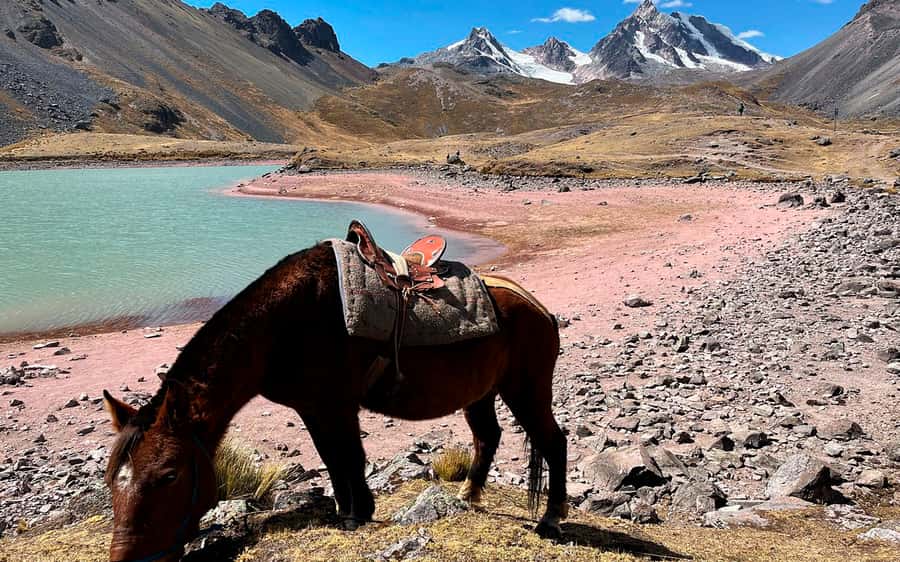Excursion: Explore in one day the 7 lakes of Ausangate from Cusco - Key things to know before you go