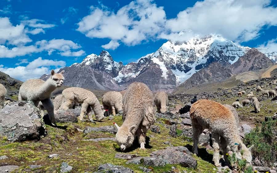 Excursion: Explore in one day the 7 lakes of Ausangate from Cusco - Aguas Termales Pacchanta: hot springs with real recovery value
