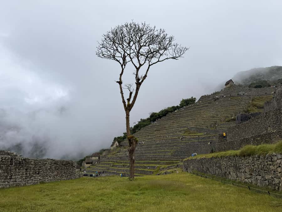 Excursion from Cusco to Machu Picchu + Entrance Tickets Incl - Machu Picchu on a guided circuit, then your own pace