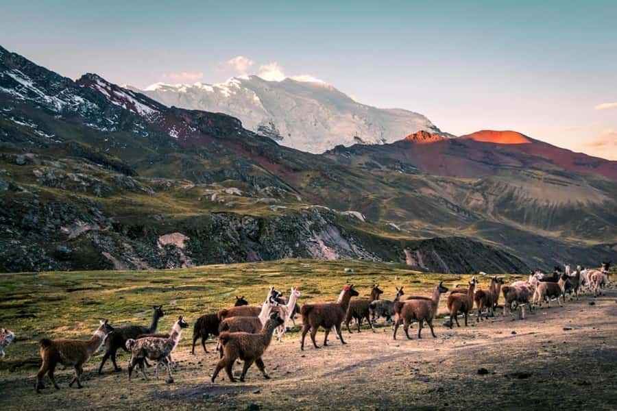 Excursion: Rainbow Mountain and Ausangate 7 Lagoons 2 days - Price and What You Actually Get for $357 (Up to Two People)