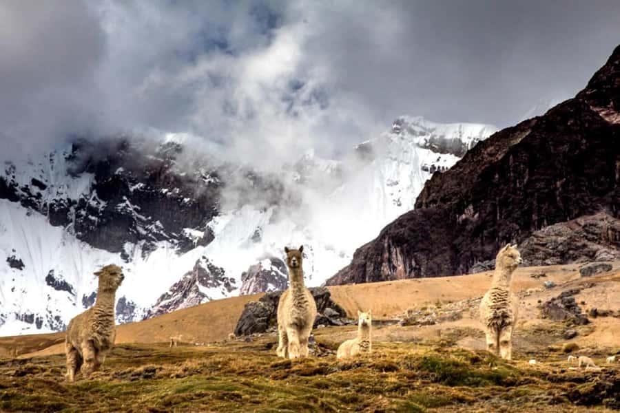 Excursion: Rainbow Mountain and Ausangate 7 Lagoons 2 days - Altitude, Fitness, and Gear That Makes This Tour More Comfortable