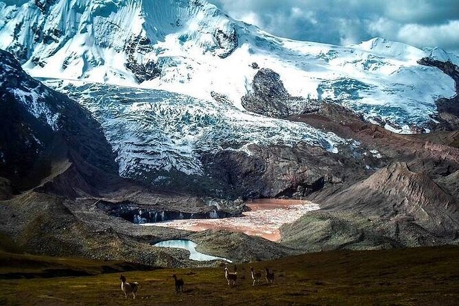 Excursion to Ausangate & 7 lakes with Coca Ceremony |Private| - Guide quality and the altitude safety basics you actually want
