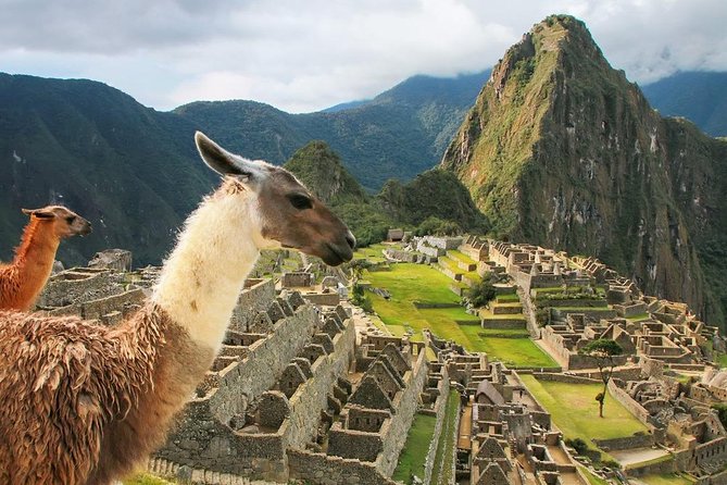 Excursion to MachuPicchu with Train Vistadome Full Day - Aguas Calientes lunch time: plan for a quick meal, not a long break