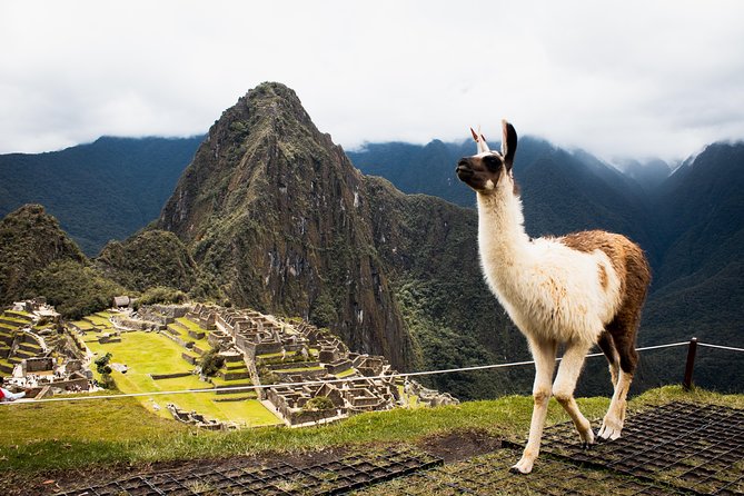 Excursion to MachuPicchu with Train Vistadome Full Day - Who should book this Machu Picchu with Vistadome tour