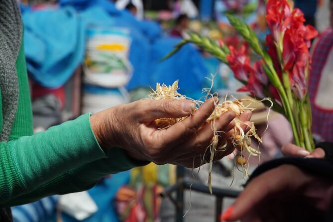 Food and Culture Full day Tour in the Sacred Valley - Key highlights that make this tour worth your time