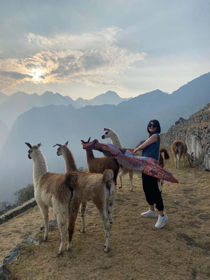 From Aguas Calientes: Machu Picchu guided tour with tickets - How the Aguas Calientes Plan Runs, Pickup to Finish
