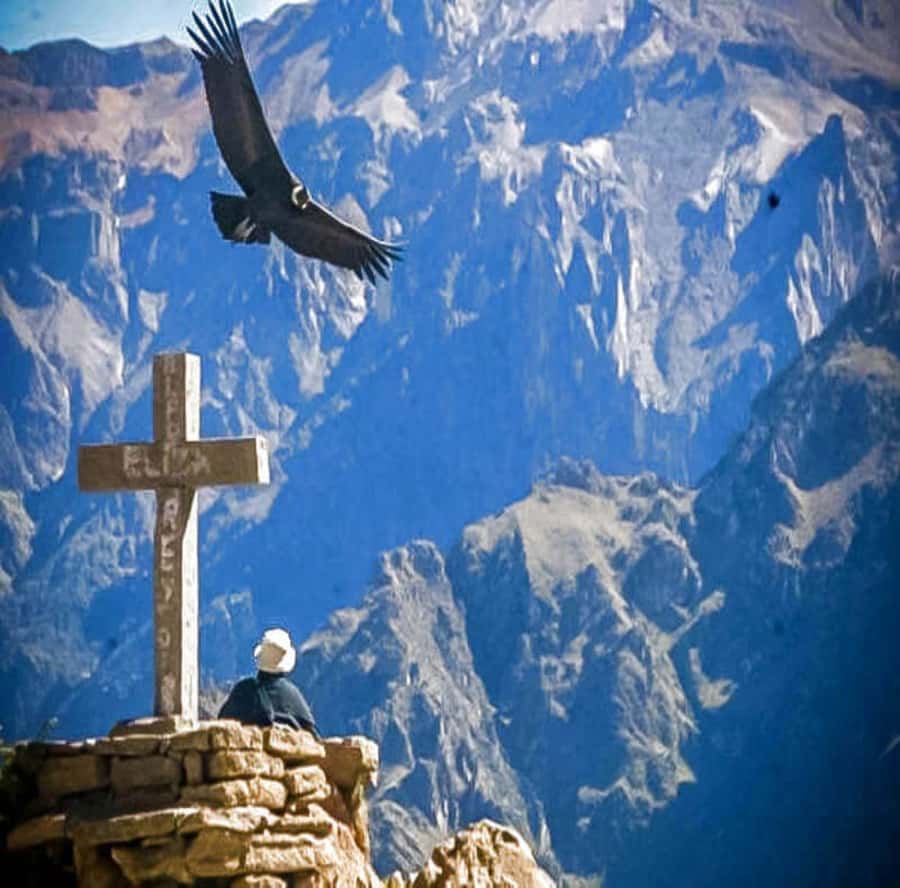 From Arequipa: 2-Day Colca Canyon Tour with Transfer to Puno - Key highlights you will actually care about