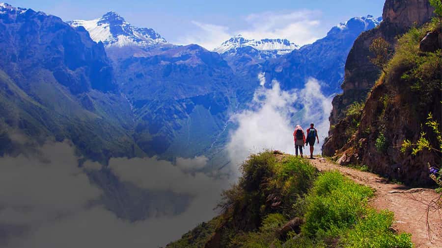 From Arequipa: Colca Canyon Day Trip with Transfer to Puno - Chivay Breakfast and Traditional Dance, Then On to Cruz del Cóndor