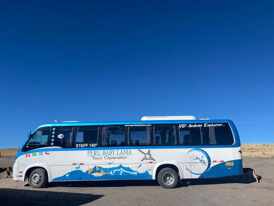 From Arequipa: Colca Canyon Day Trip with Transfer to Puno - Photo Stops at the Colca River and Maca, Caylloma Markets