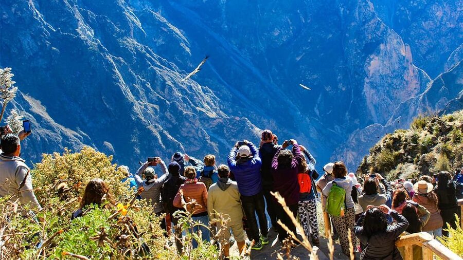 From Arequipa: Colca Canyon Day Trip with Transfer to Puno - Chacapi Hot Springs: Real Relaxation After the Road