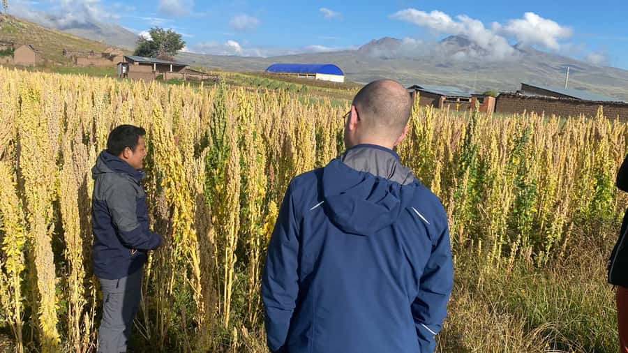 From Arequipa: Colca Canyon Day Trip with Transfer to Puno - Transfer Toward Puno: Scenic Breaks and a Late Finish