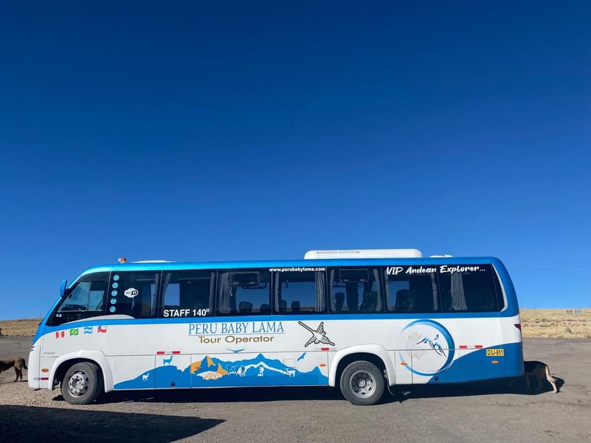 From Arequipa: Colca Canyon Day Trip with Transfer to Puno - Price and Value: What $65 Covers, and What Costs Extra