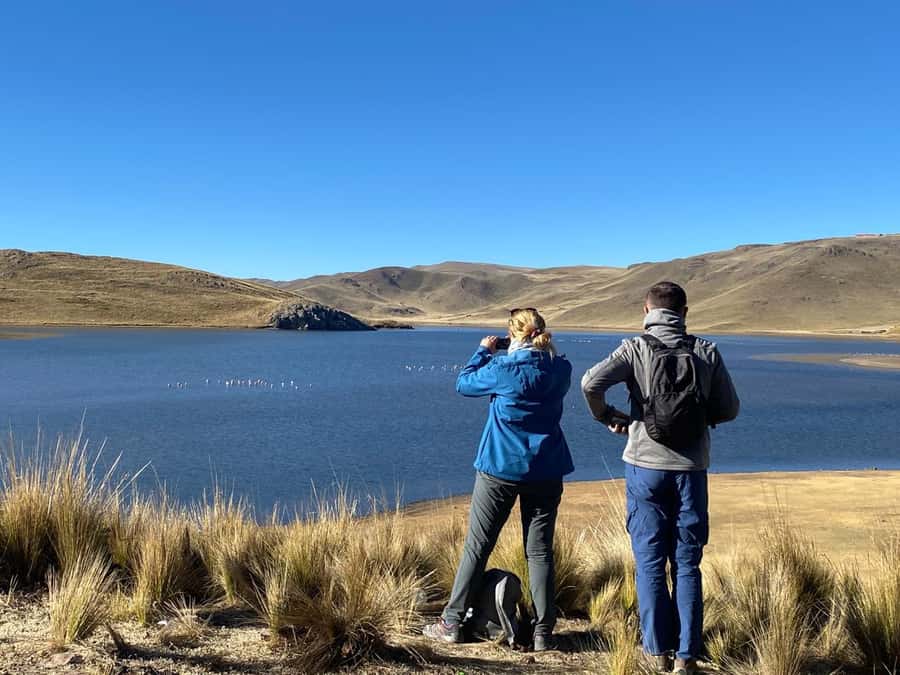 From Arequipa: Colca Canyon Day Trip with Transfer to Puno - Who This Tour Suits Best (And Who Should Rethink It)
