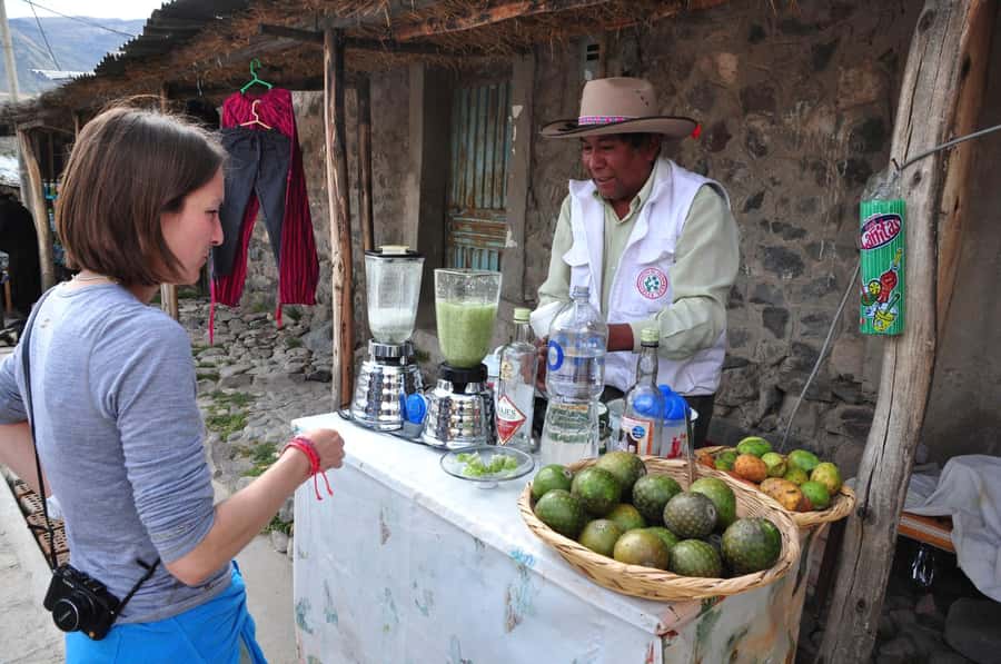 From Arequipa: Fullday Tour Colca Canyon + Transfer To Puno - Key things to know before you go